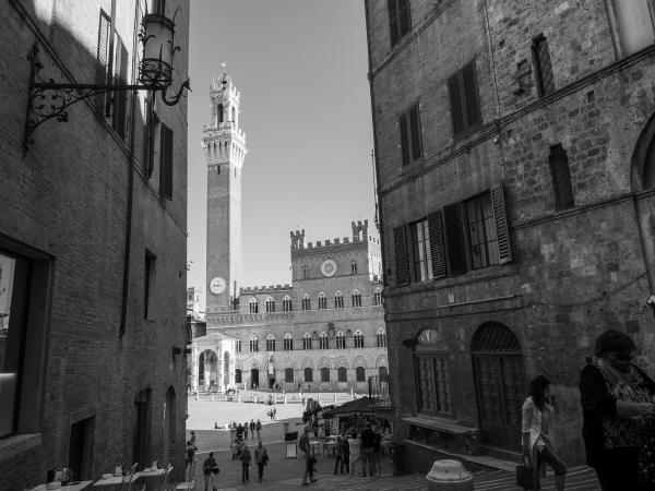 siena
